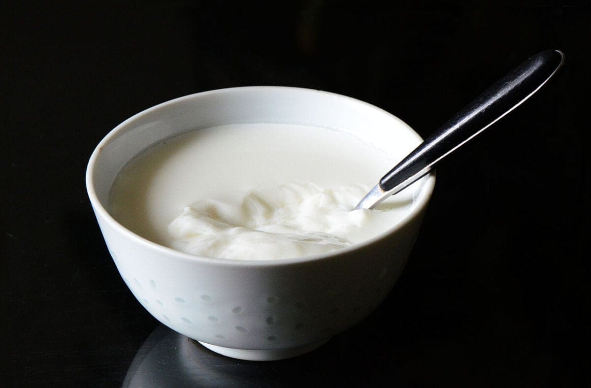 Découvrez l’origine et la recette traditionnelle de la caillebotte, trésor vendéen