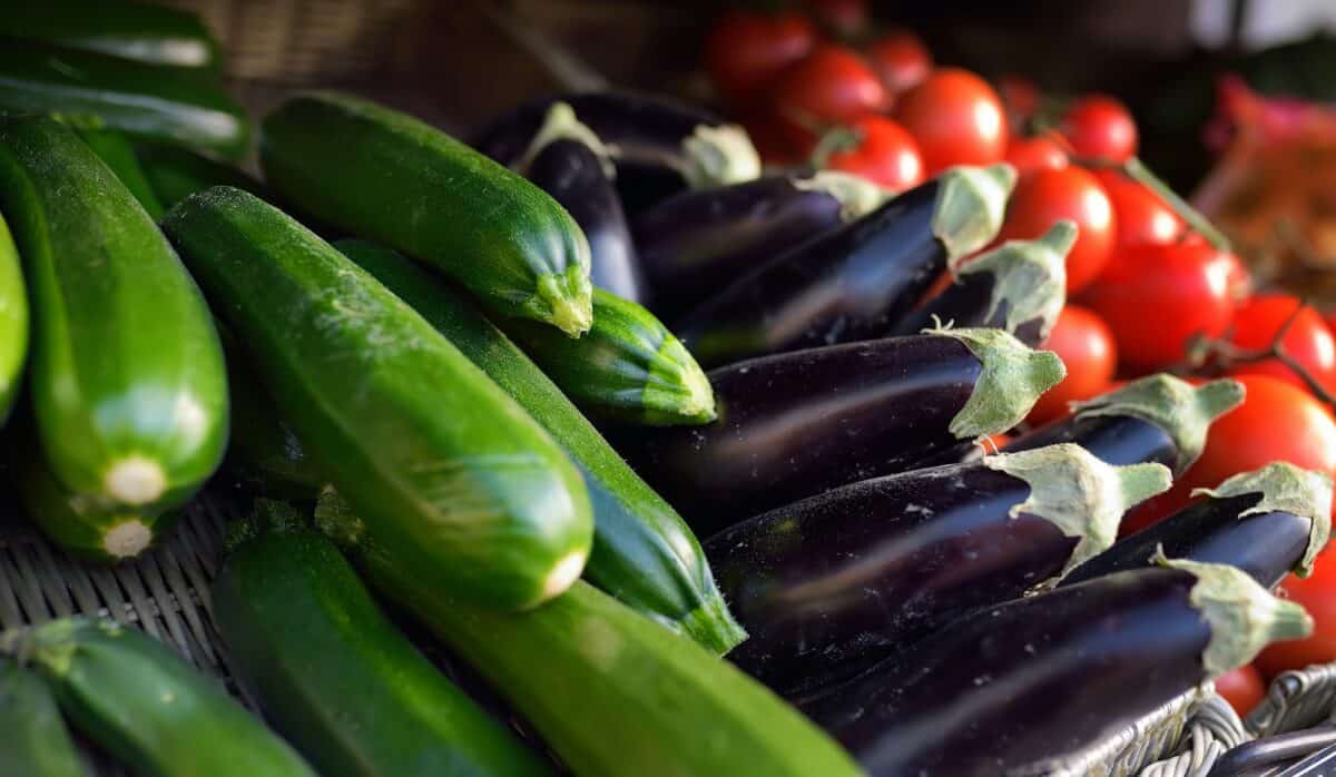 aubergine