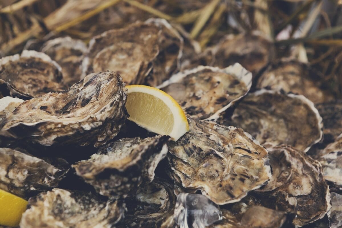 Beaucoup de fruits de mer, des huîtres dans un panier