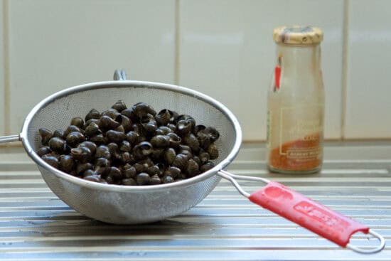 La cuisson parfaite des bigorneaux : astuces et méthodes pour réussir à