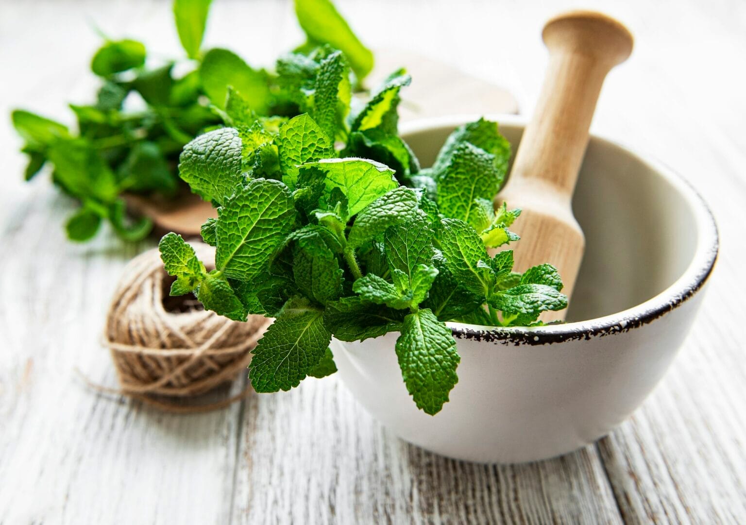 Comment faire sécher et conserver la menthe fraîche méthodes et astuces