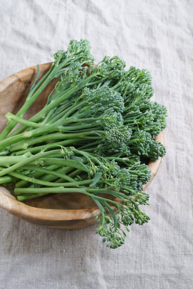Brocolettis ou brocoli chinois