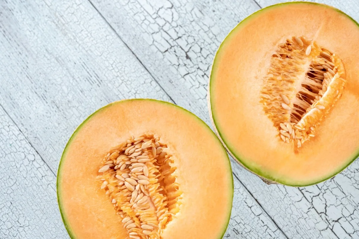 Cantaloupe melon