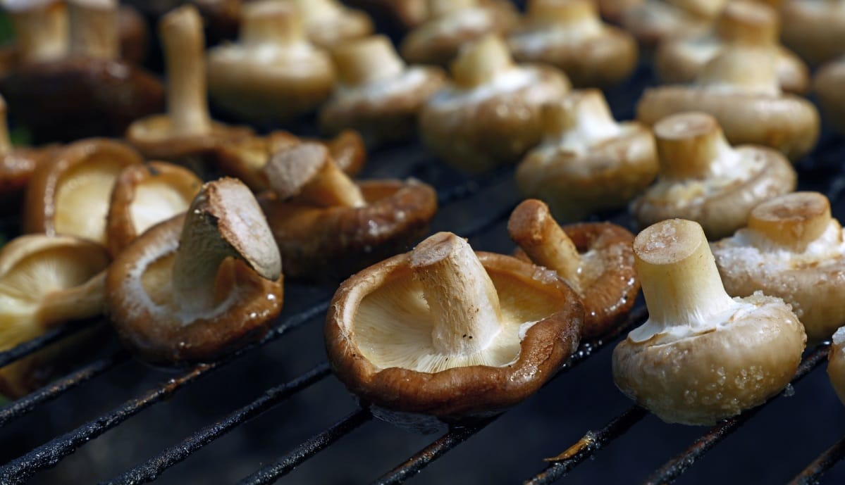 Champignon shiitake sur le grill