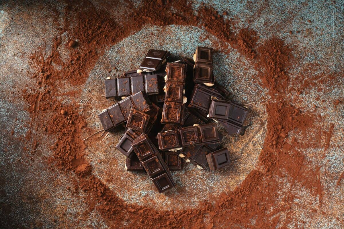 Chocolat noir et au lait avec des noix sur un fond noir saupoudré de poudre de cacao.