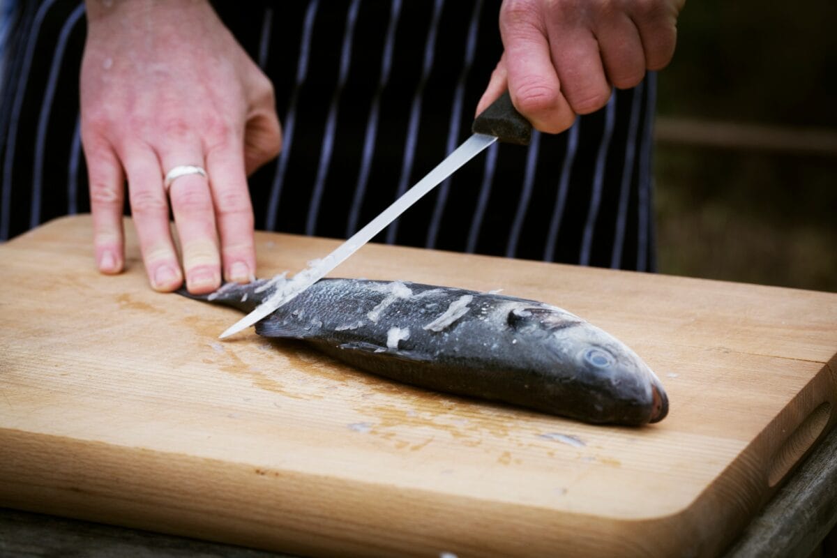 Close up of a chef scaling a fresh fish.