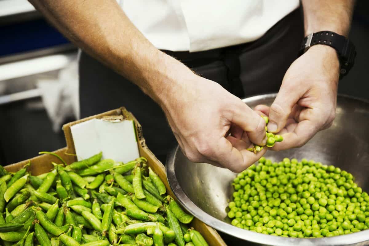 Close up of a chef shelling fresh green peas.