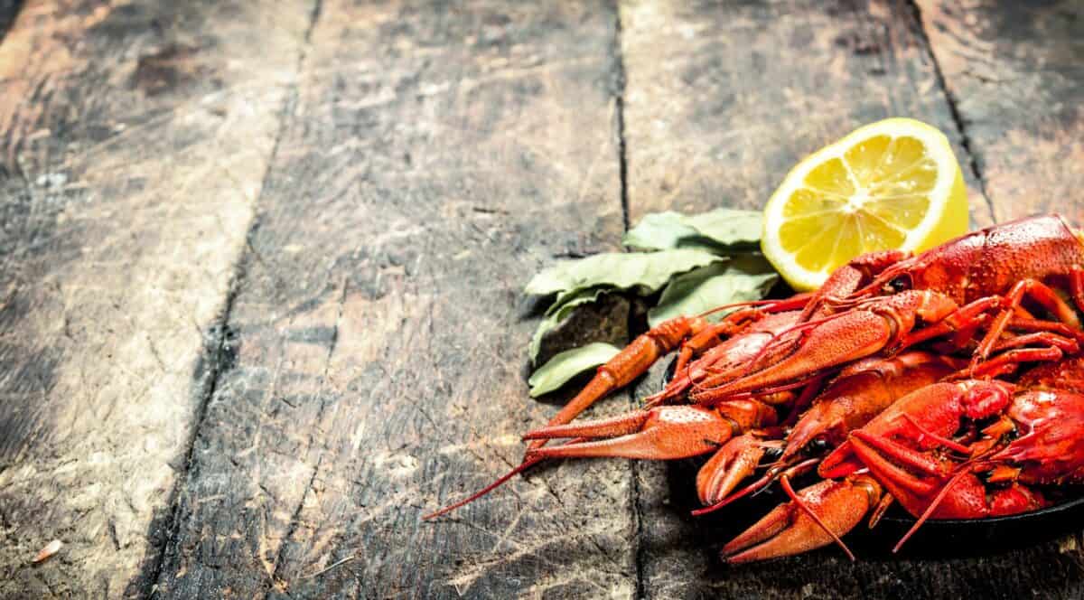 Cooked fresh crayfish.