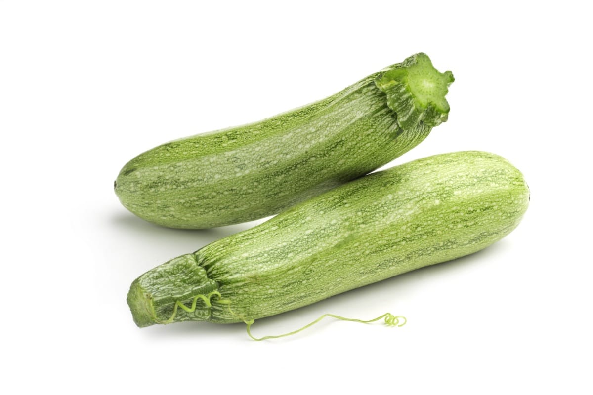 Courgettes jeunes et fermes