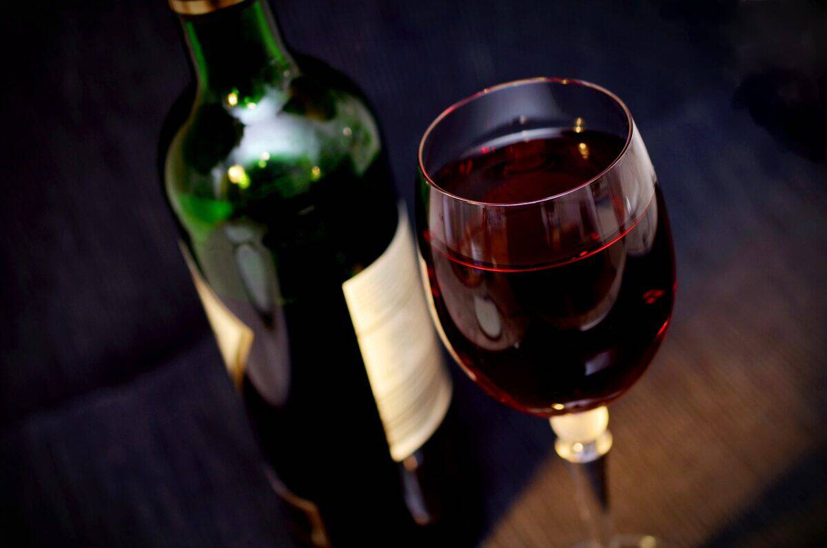 Découvrez les meilleurs cours d'œnologie pour tous les niveaux
