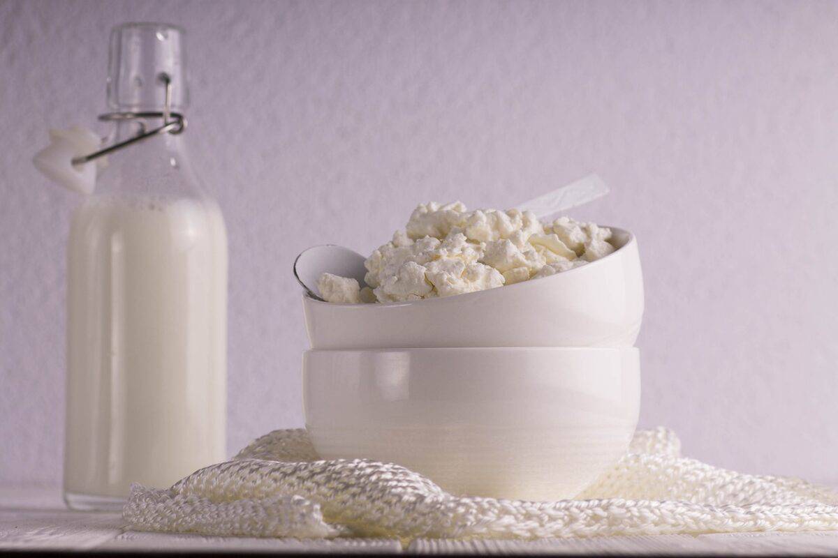 Découvrez l’origine et la recette traditionnelle de la caillebotte, trésor vendéen