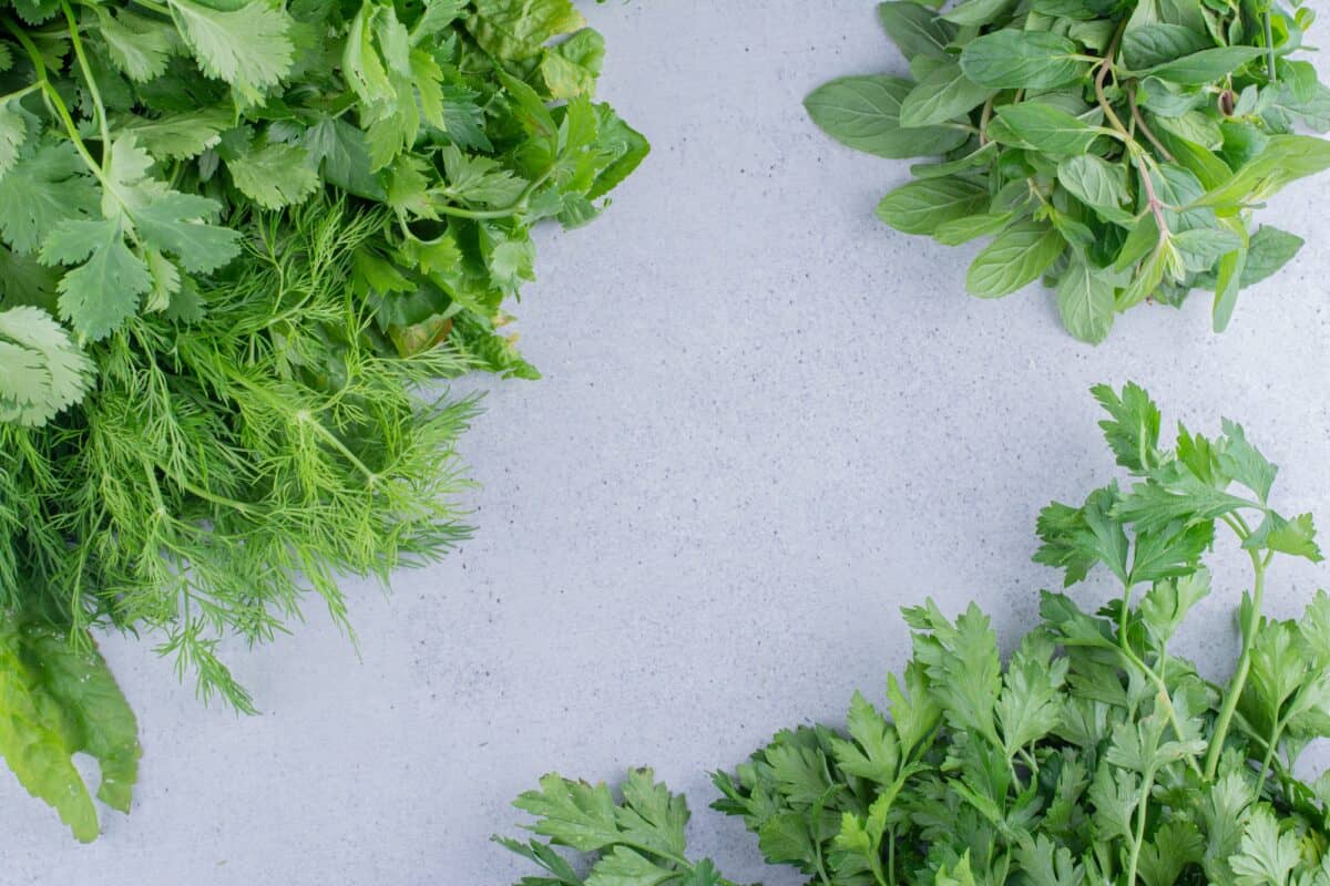 Herbes fraîches
