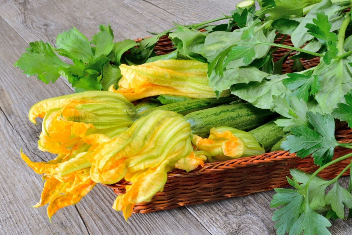 Beignets de fleurs de courgette croustillants