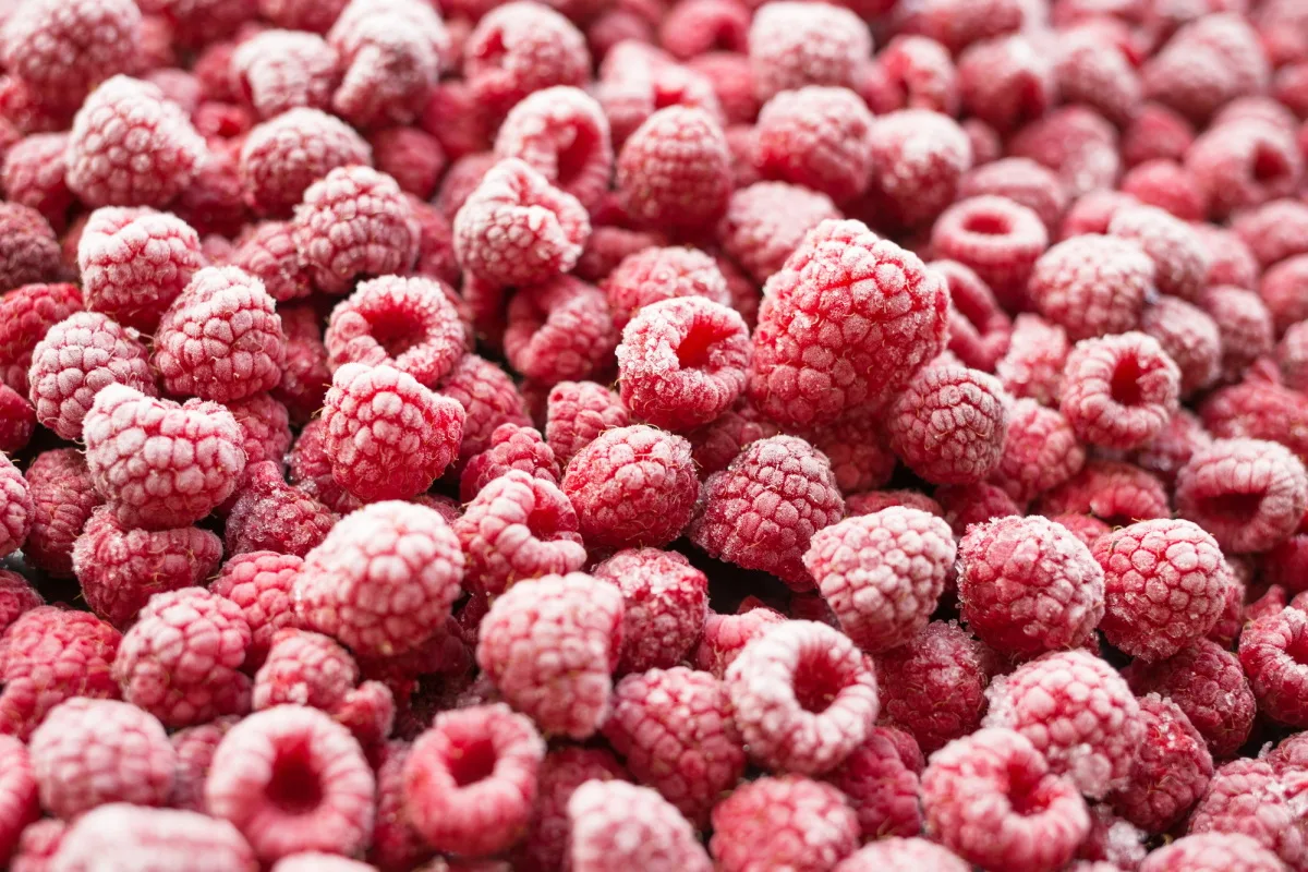 Framboises froides.
