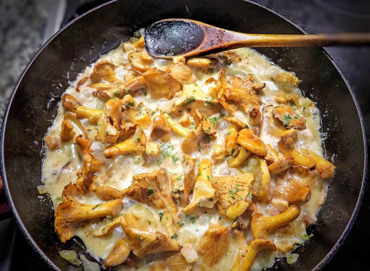 girolles à la crème