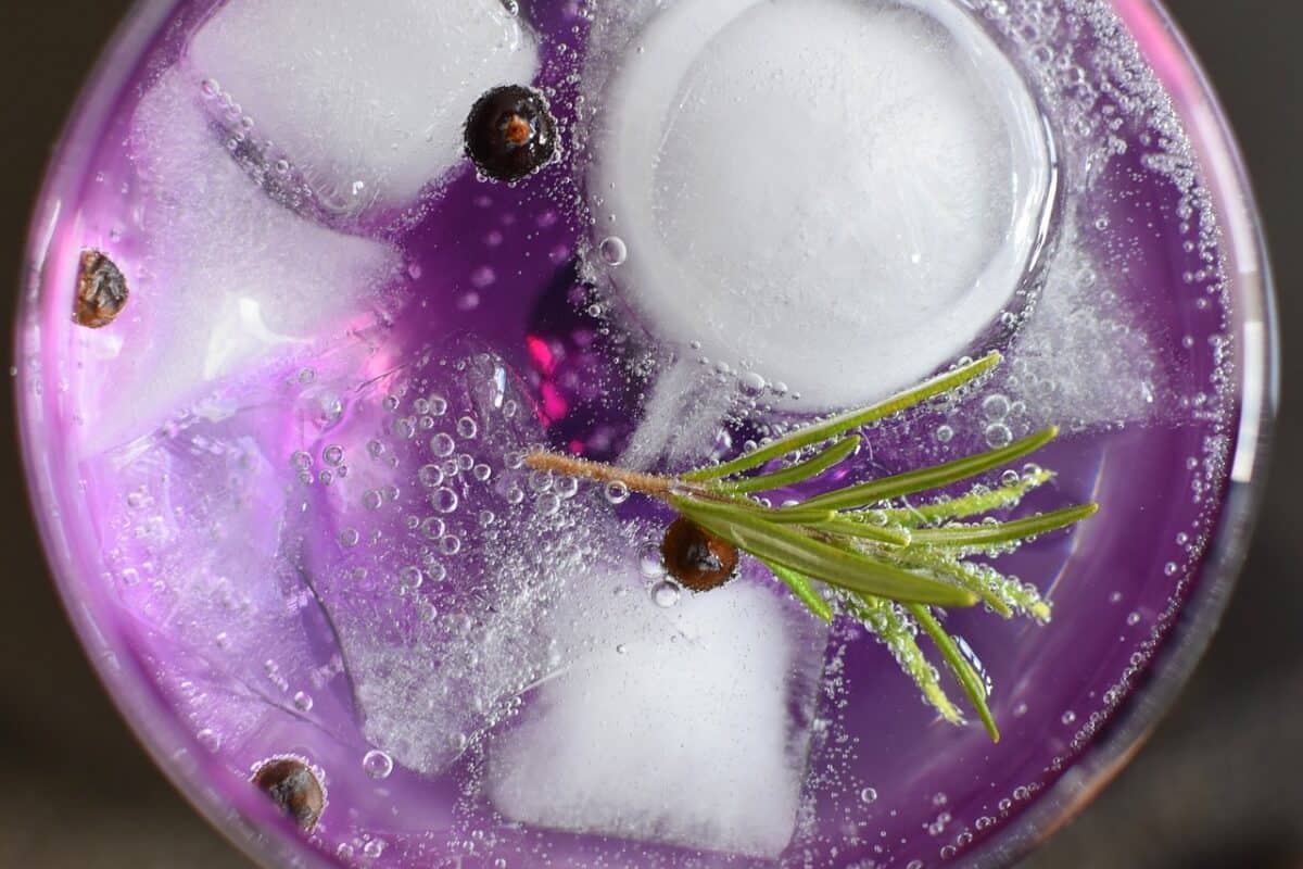 Tout savoir sur le gin tonic : de ses origines à sa recette parfaite