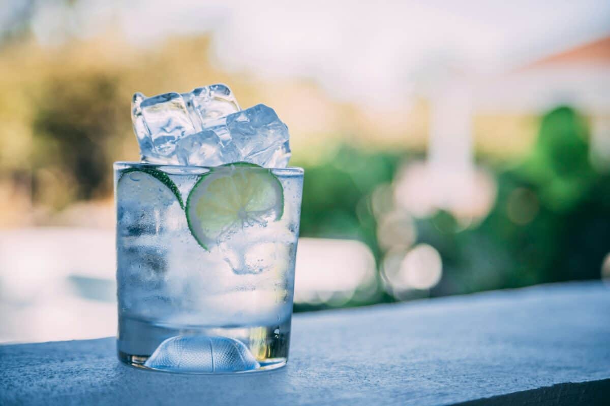 Tout savoir sur le gin tonic : de ses origines à sa recette parfaite