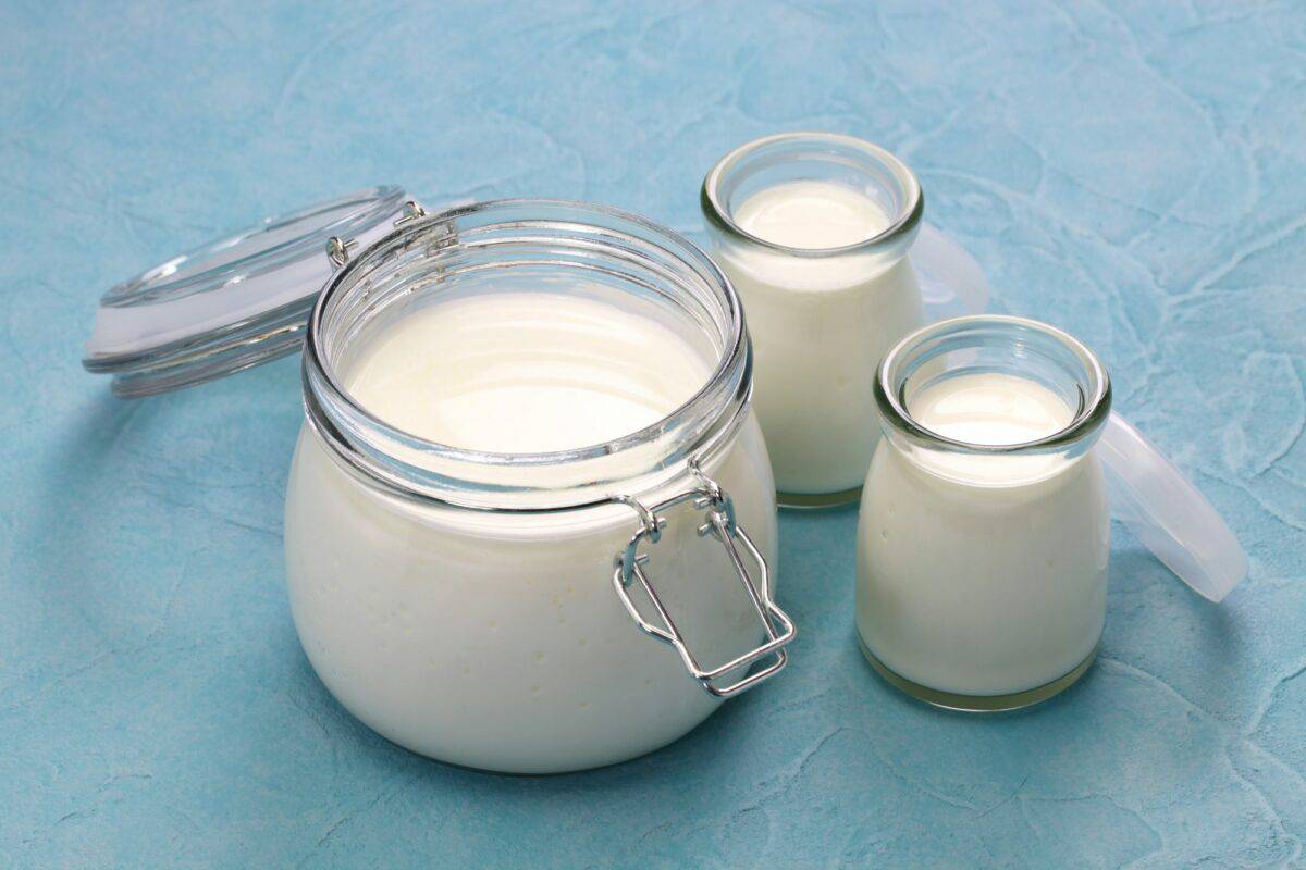 homemade kefir yogurt