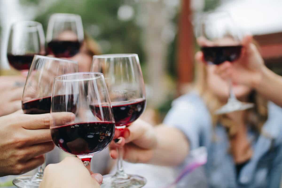 Investir dans le vin : guide complet pour débutants et connaisseurs