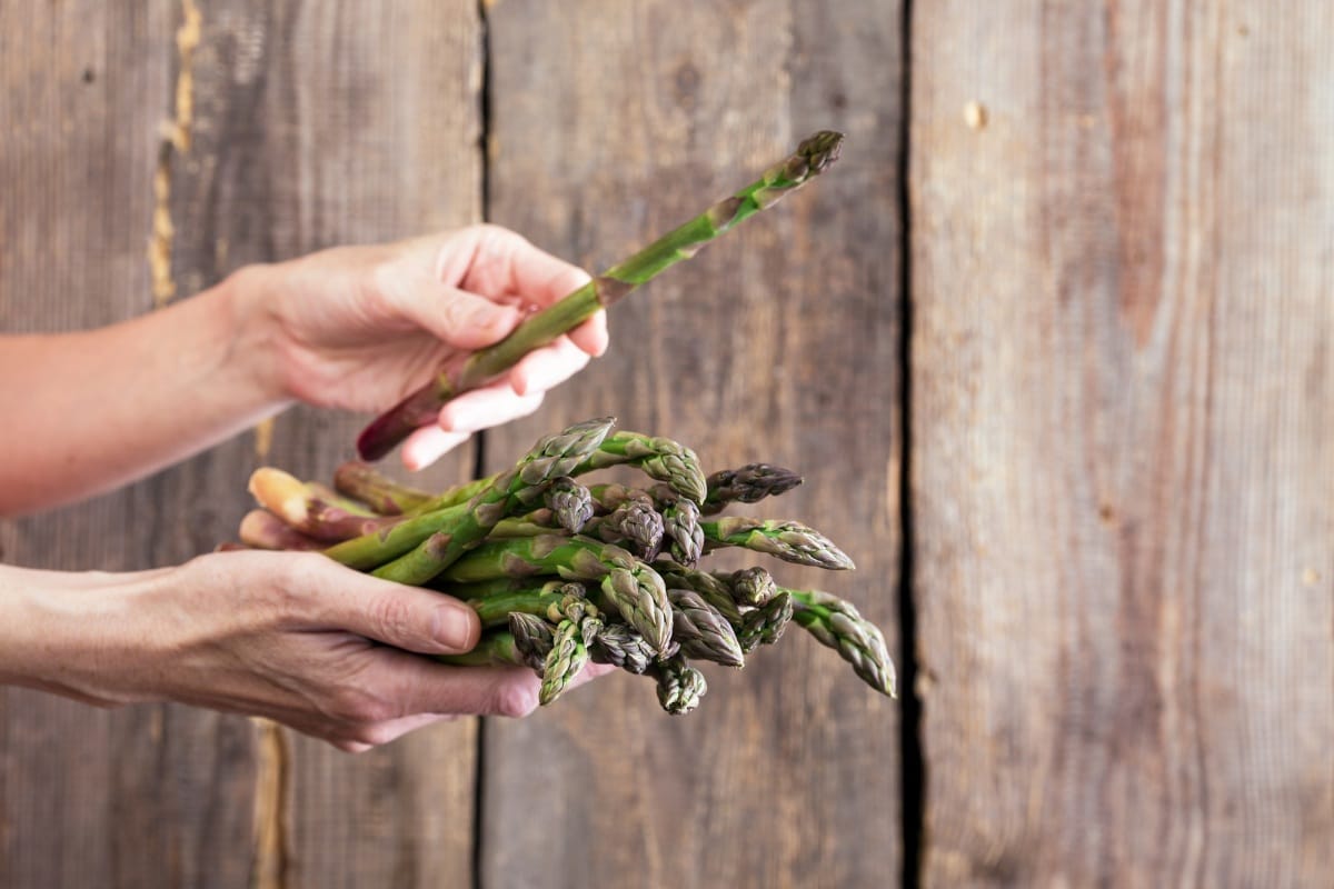 les asperges fraîches