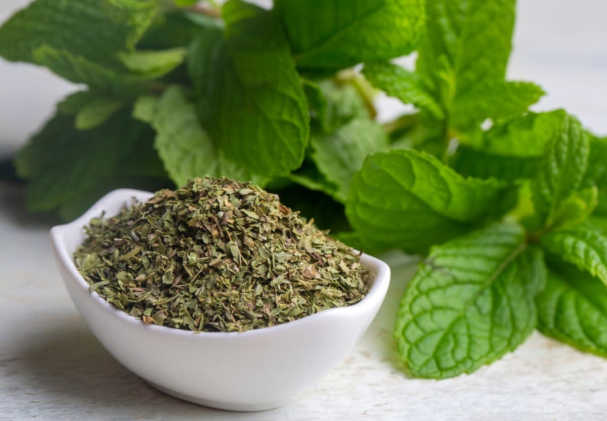 Menthe séchée et menthe verte fraîche