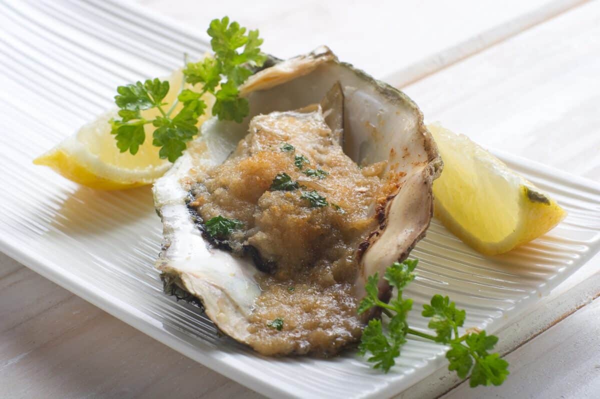 oyster au gratin