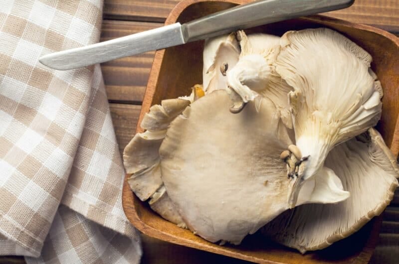 Recette de pleurotes en huître sautés à l'ail