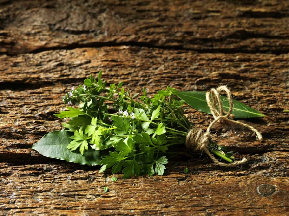 Parsley, thyme, bay leaves tied together with string on rustic wooden surface