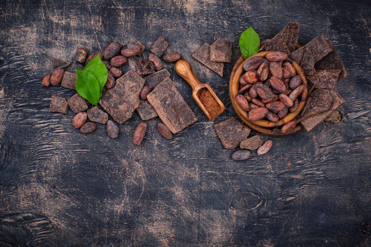 Poudre de cacao naturel, fèves de cacao et chocolat