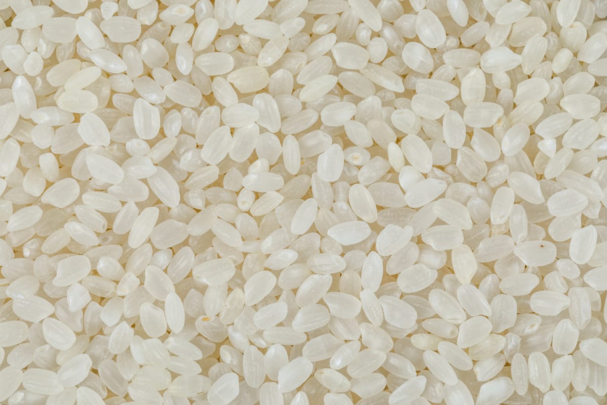 Riz