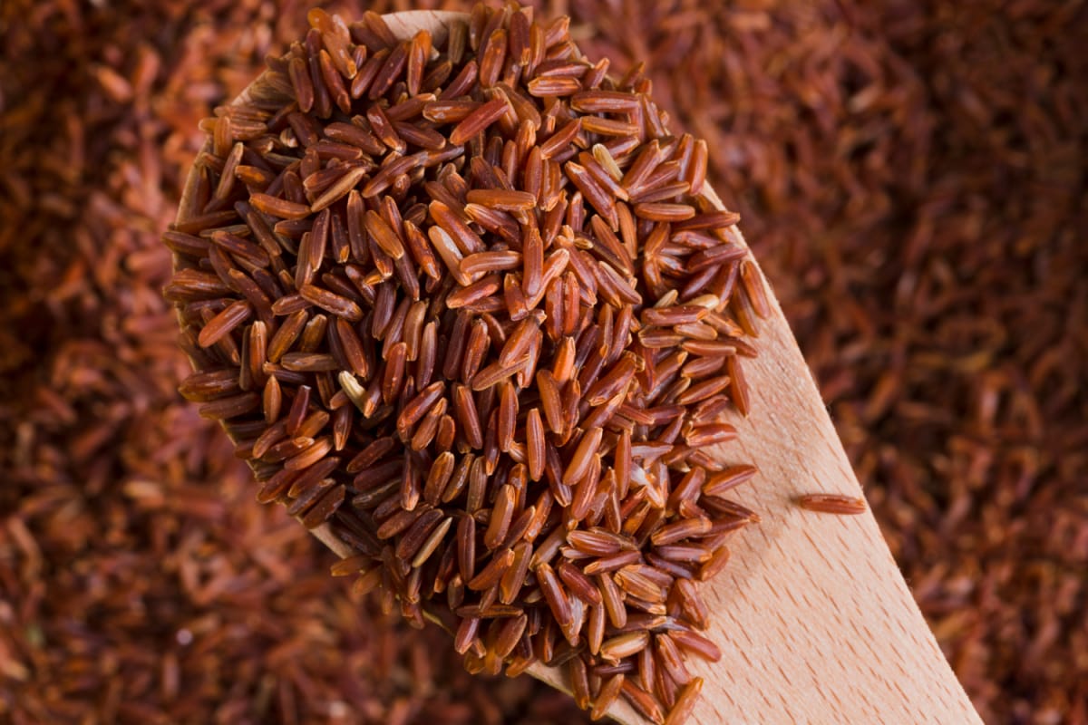 Riz rouge