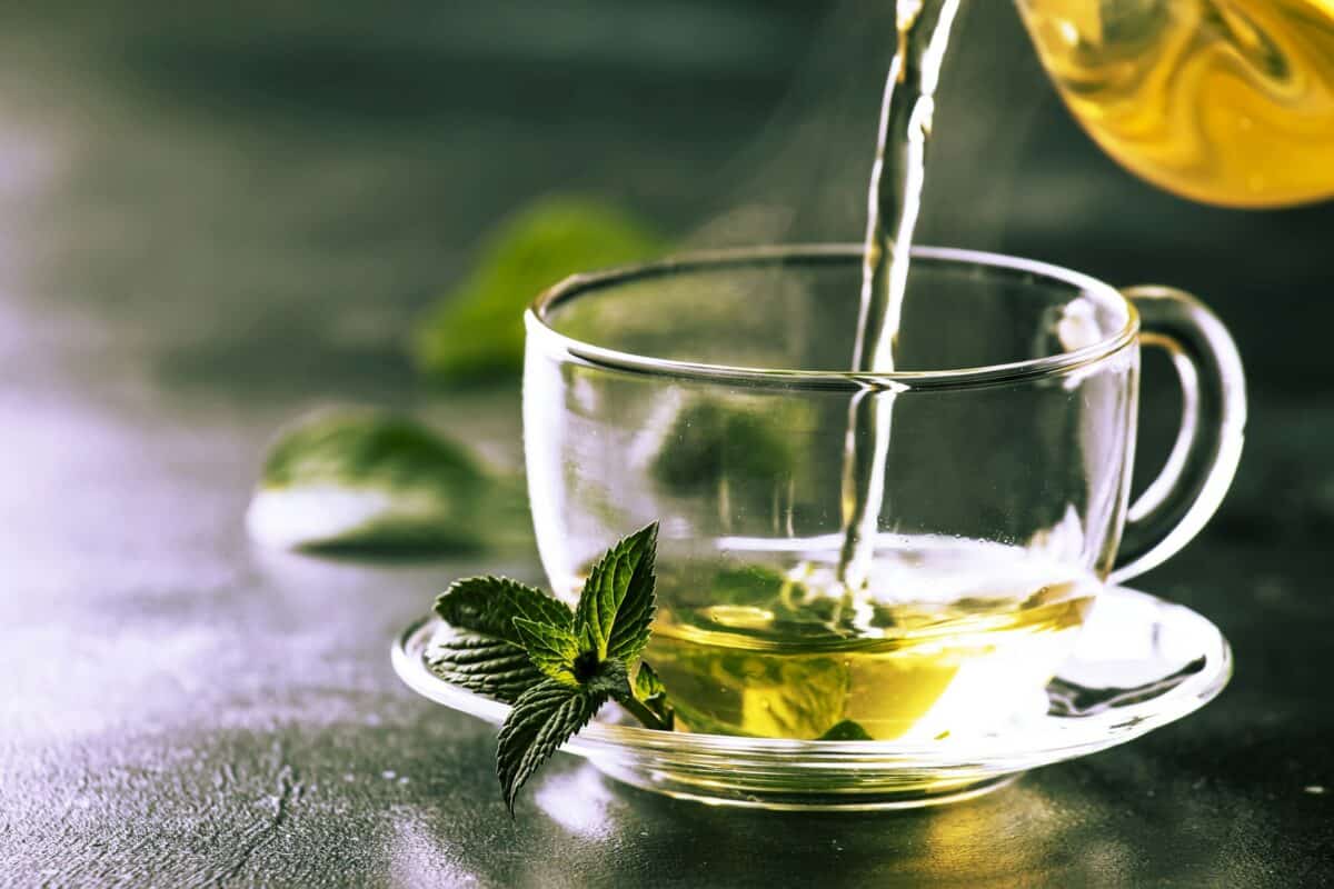 thé vert à la menthe