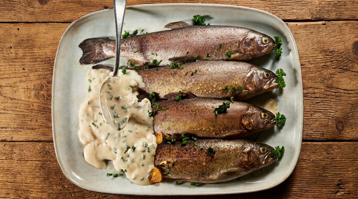 Truites à la ciboulette