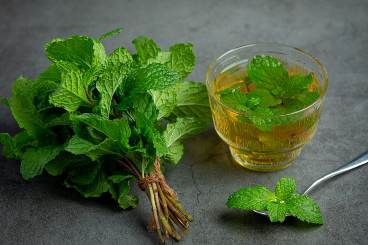 Vinaigrette de menthe